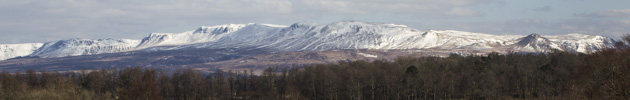 Snowy Campsies